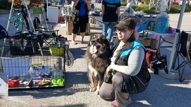 Myrskylän kesätorilla