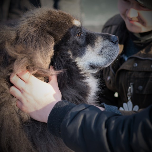 tämä etsintäsivulle